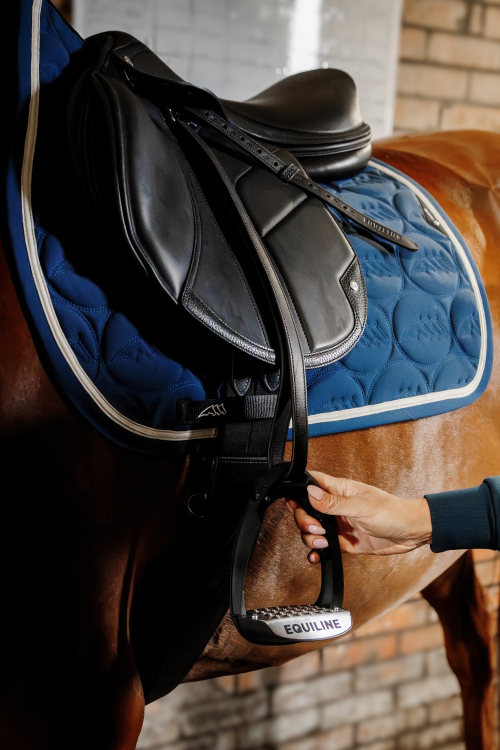 Equiline HW25 Springen Schabracke Entic