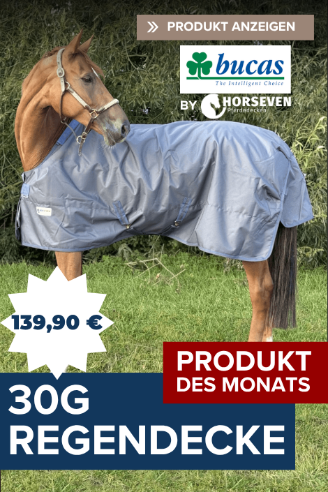     Bucas Turnout Light 30g Regendecke by Horseven  - grey/blue, 145