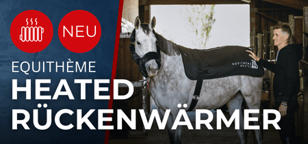     Equitheme Heated Rückenwärmer  - schwarz, M