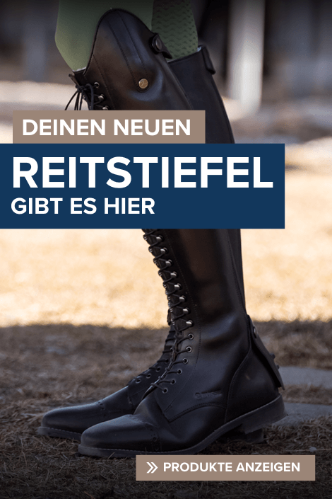 Grou00dfe Auswahl an Reitstiefeln