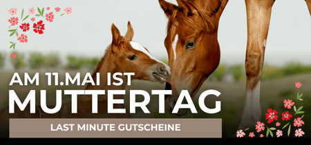     HorseShop Einkaufsgutschein