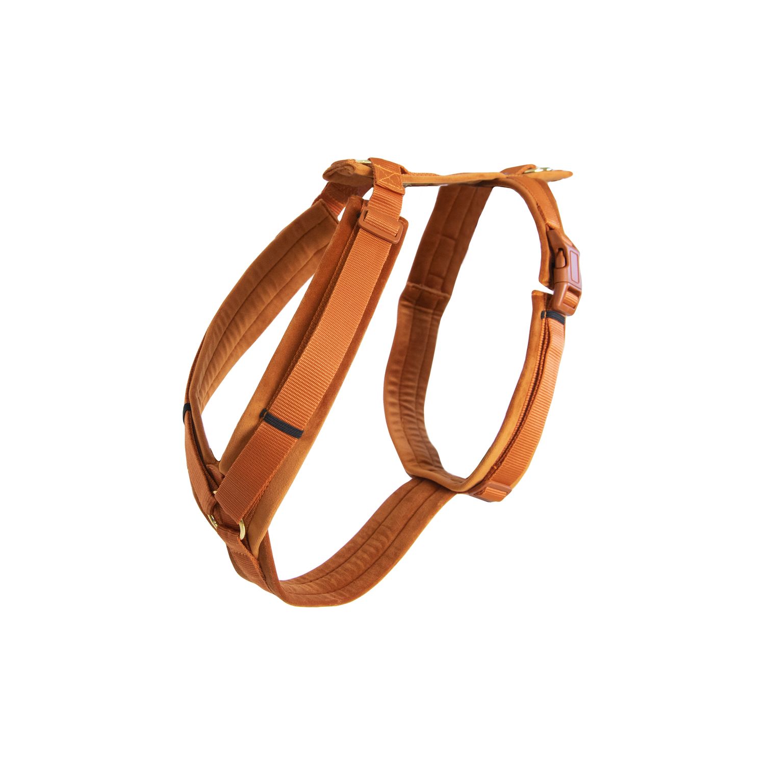 Kentucky Dogwear Hundegeschirr Aktiv Velvet - orange, Größe XXS