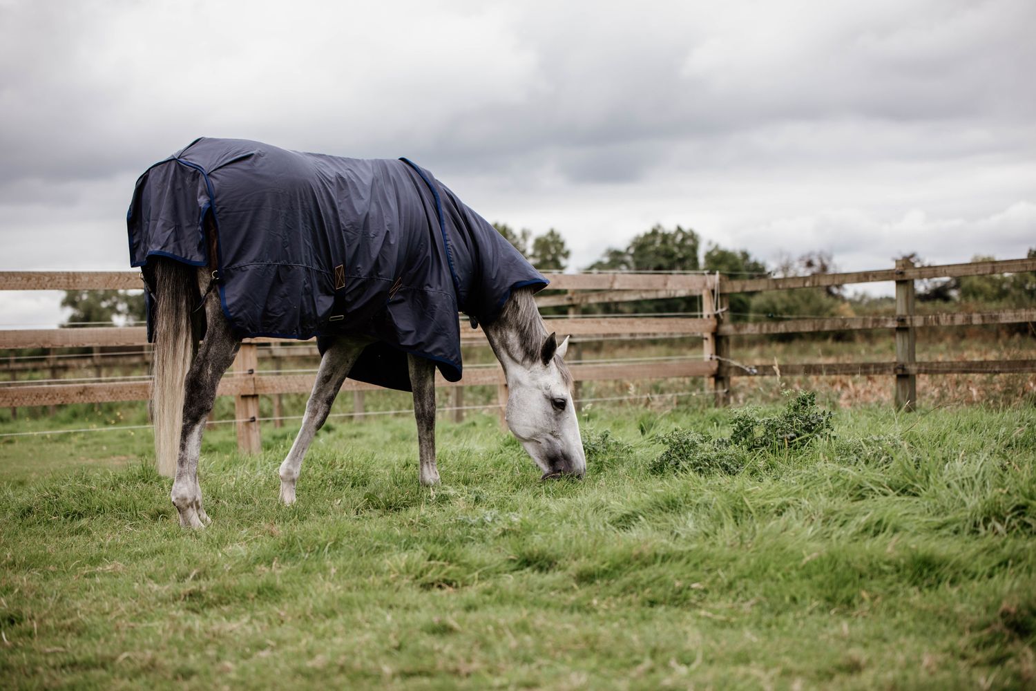 Kentucky Horsewear Turnout Rug all weather Hurricane Weidedecke 150g Kentucky Horsewear Turnout Rug all weather Hurricane Weidedecke 150g
