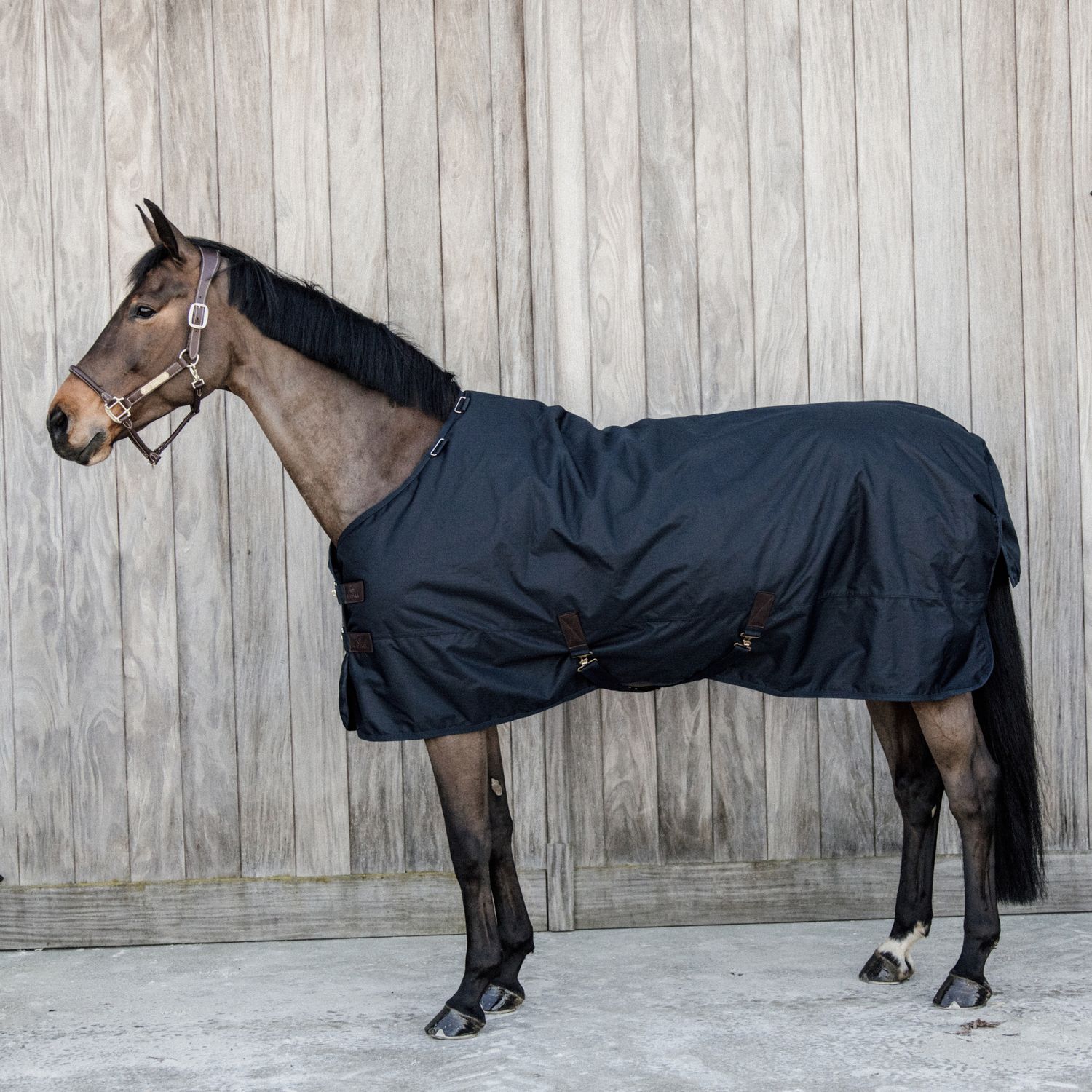 Kentucky Horsewear Pferdedecke Turnout Rug All Weather Classic 150g - schwarz, Größe 140