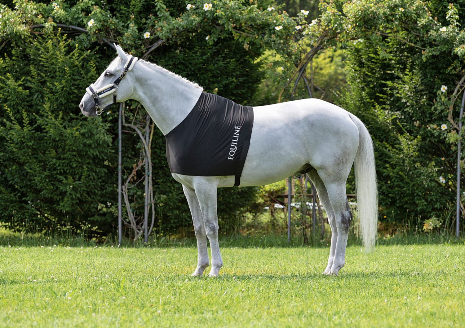 Equiline Edinburgh Under Rug Brustschutz