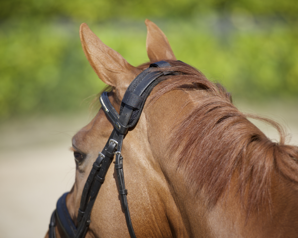 Back on Track Genickschoner 4 Klettbänder Back on Track Genickschoner 4 Klettbänder