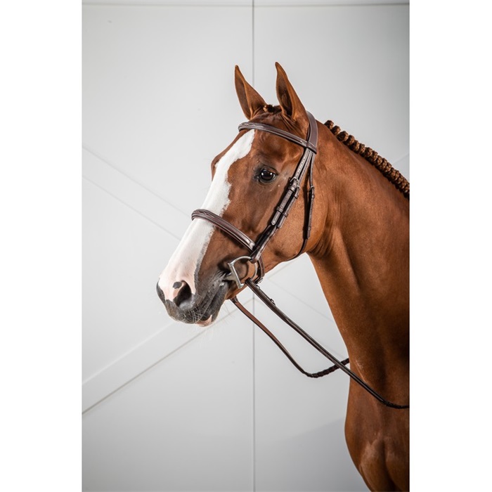 Dyon Hunter Collection Trense mit englischem Reithalfter - brown, Größe Full