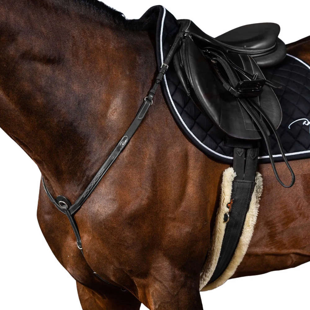 Dyon Hunter Collection Vorderzeug - black, Größe Pony