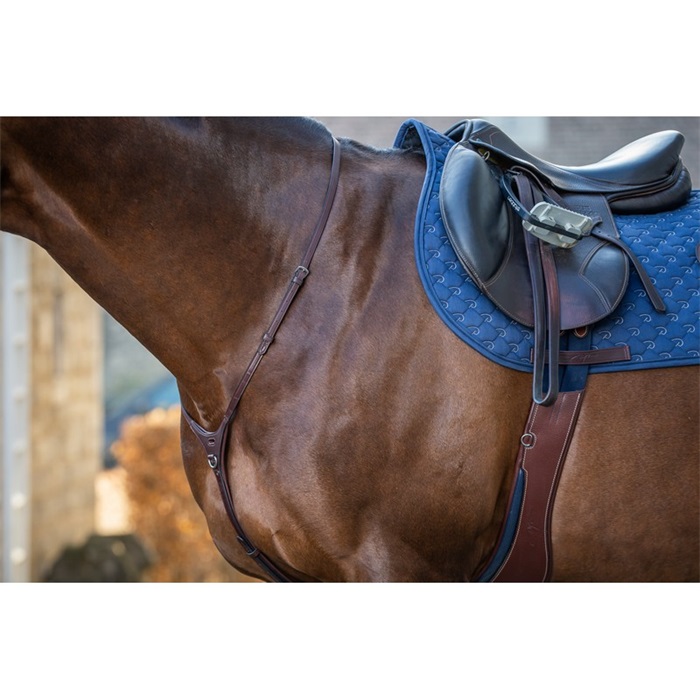 Dyon New English Collection Martingalriemen - brown, Größe Full