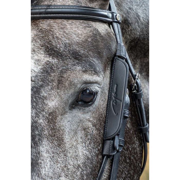 Dyon Blinkers Mini-Scheuklappen Focus Backenstücke - black, Größe Cob