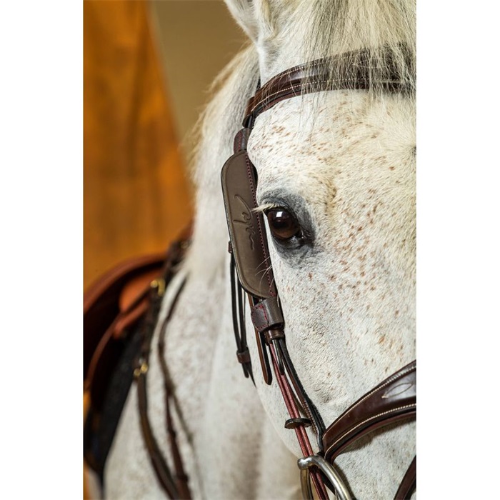 Dyon Blinkers MiniScheuklappen Focus Backenstücke