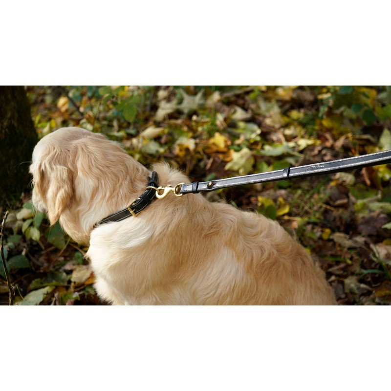 Dyon verstellbare Hundeleine - black