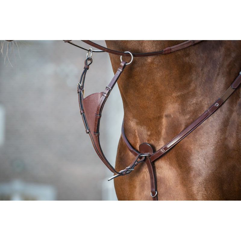 Dyon New English Collection Martingalgabel geschlossen soft - brown, Größe Cob