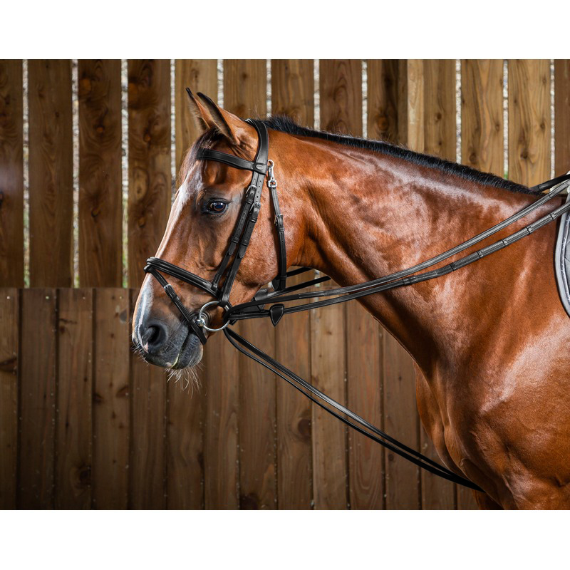 Dyon Working Collection Jagdschlaufzügel Dyon Working Collection Jagdschlaufzügel