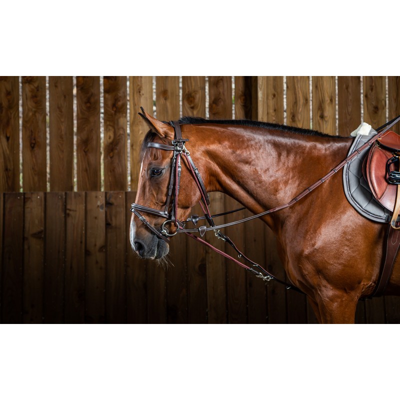 Dyon Working Collection Gogue Nylon Hilfszügel Dyon Working Collection Gogue Nylon Hilfszügel