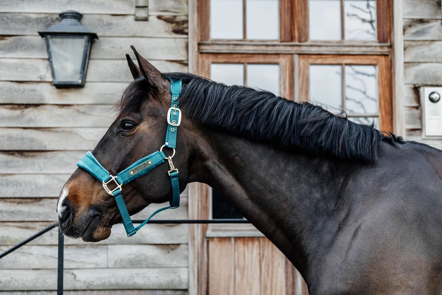 Kentucky Horsewear Velvet Halfter - smaragd, Größe Shetty