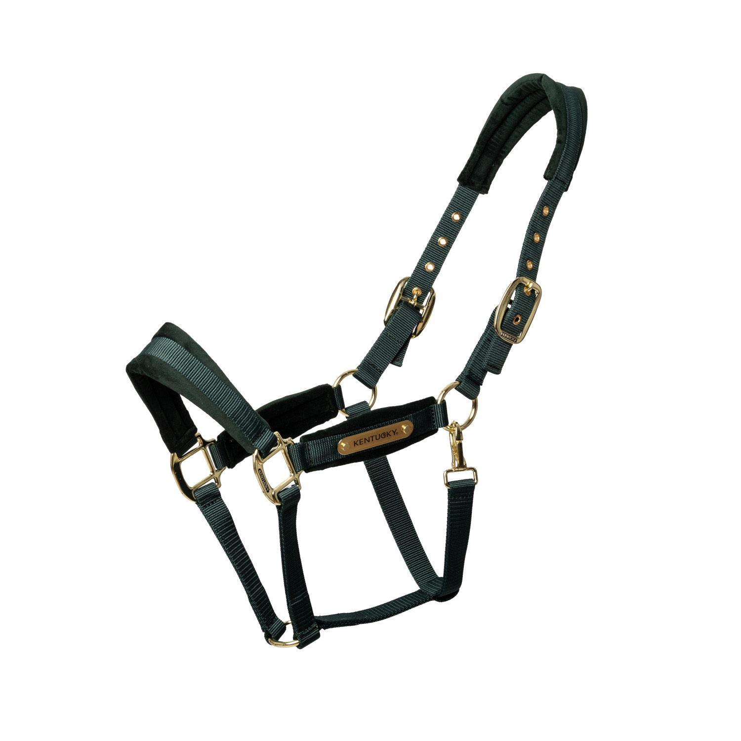 Kentucky Horsewear Velvet Halfter - grün, Größe Full
