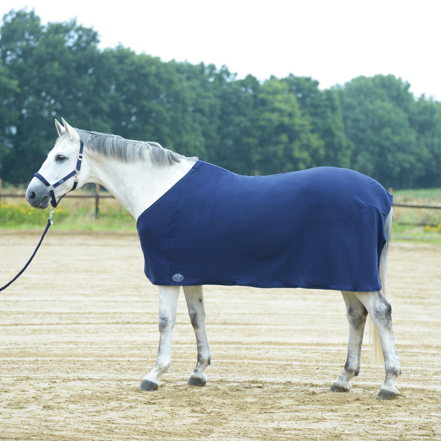 Busse Abschwitzdecke Basic II - navy, Größe 95
