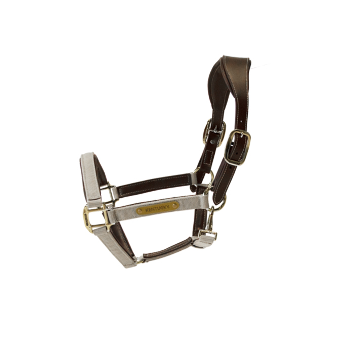 Kentucky Horsewear - Nylonhalfter - Anatomisch - Beige - Full - Bild 2