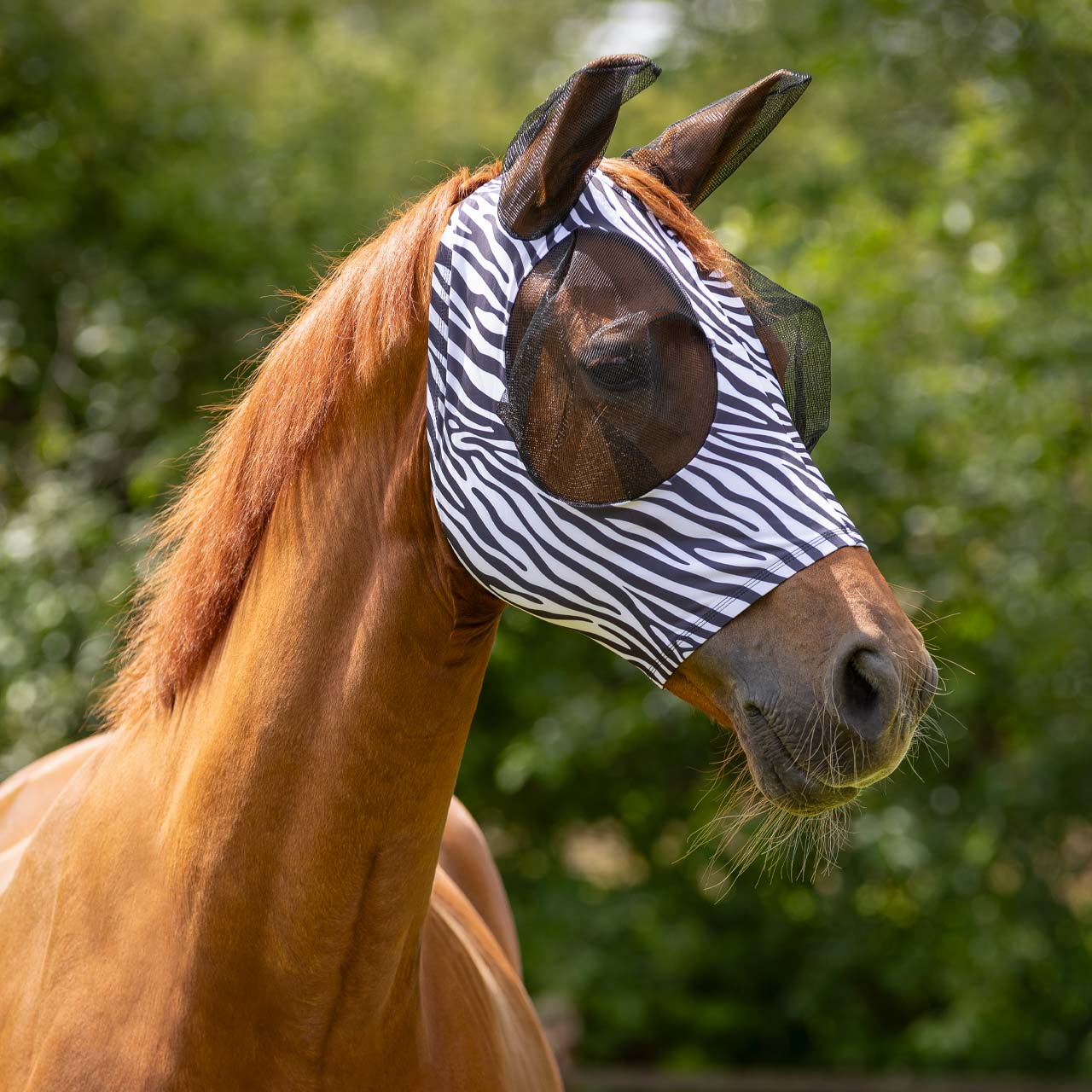 QHP Fliegenschutzmaske Super Bug - zebra, Größe shet