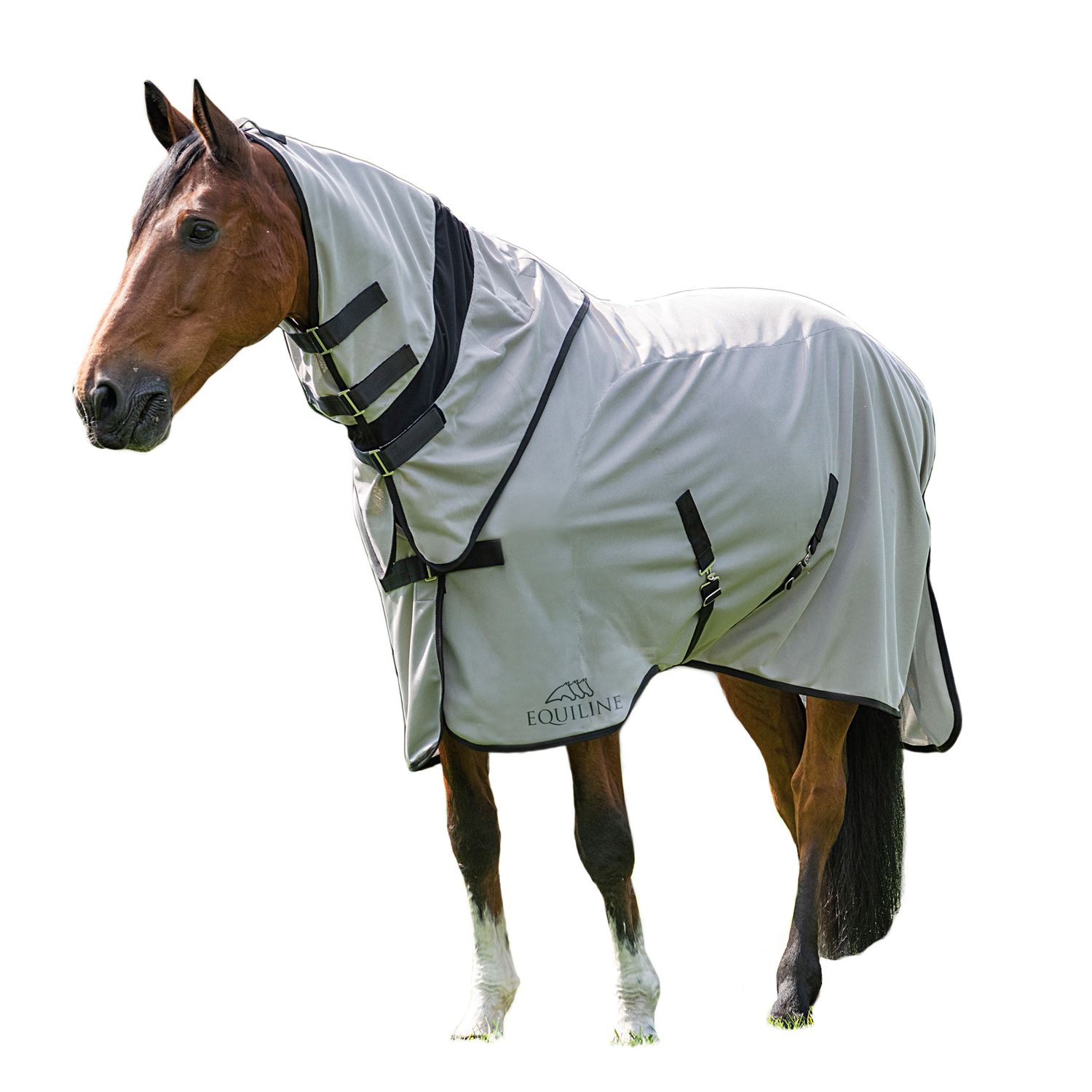 Equiline Lemonfly Mesh Paddockdecke mit Halsteil - aluminium, Größe 145