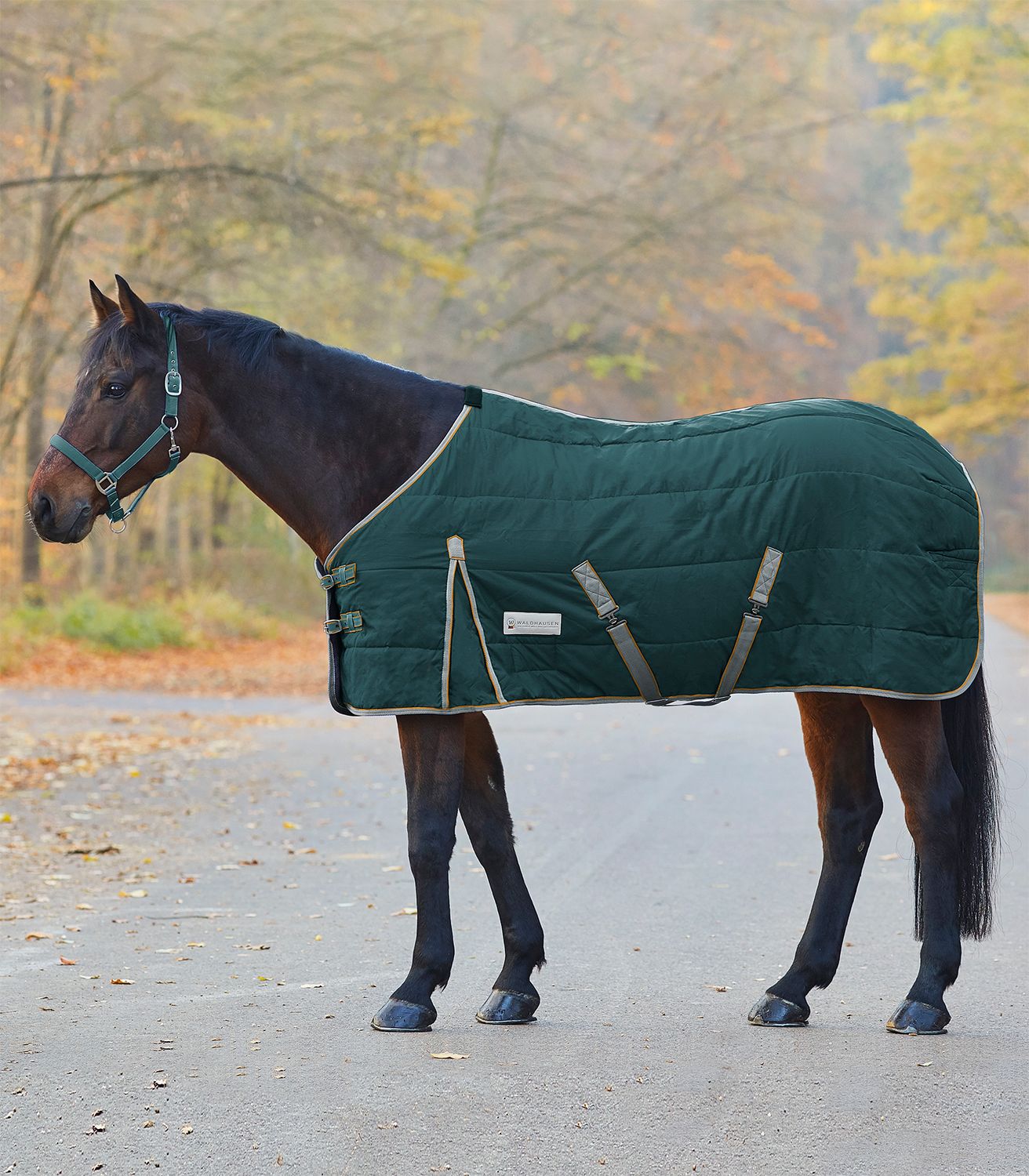 Waldhausen Stalldecke Economic 300 g - tannengrün, Größe 145 cm