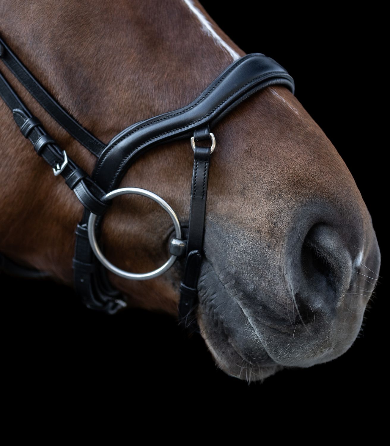 Waldhausen Trensenzaum XLine New Shape II