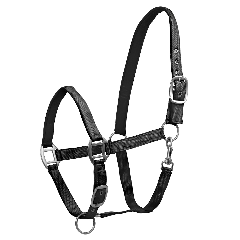 Waldhausen Perlonhalfter Satin Waldhausen Perlonhalfter Satin