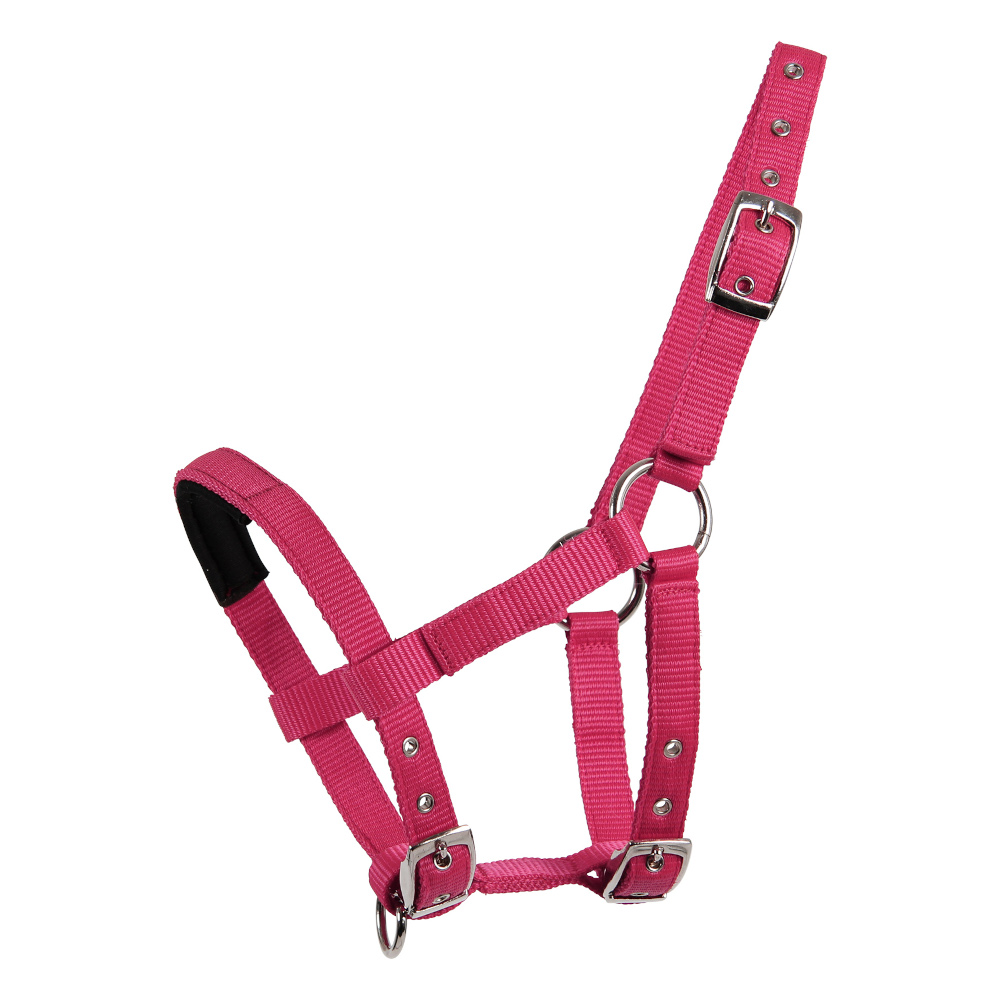 Waldhausen Mini-Shetty Halfter - azalee