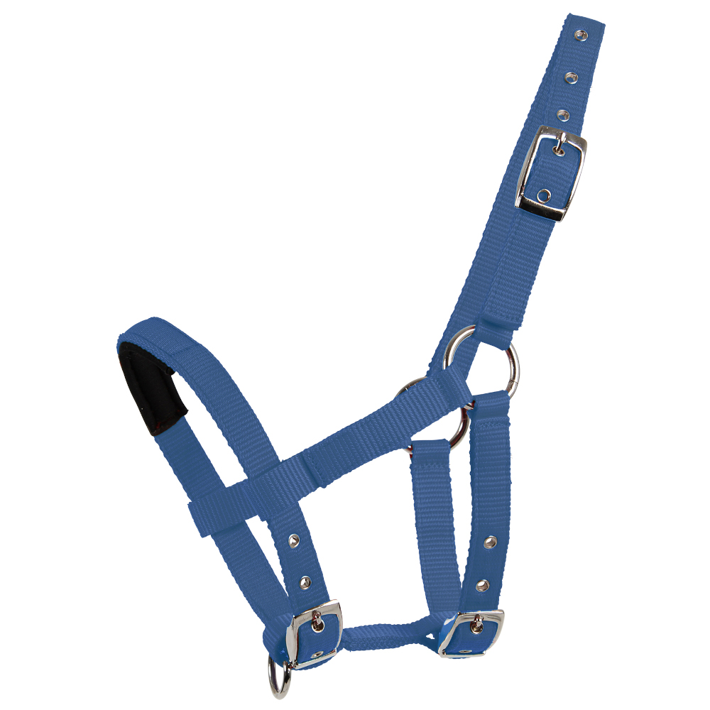 Waldhausen Mini-Shetty Halfter - azur