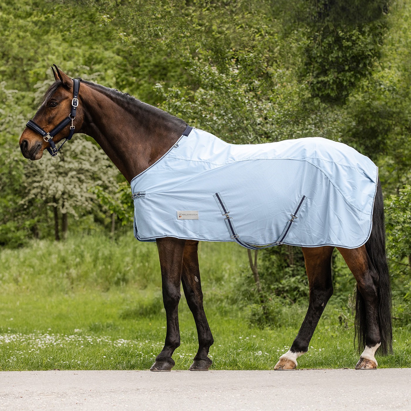 Waldhausen Fliegendecke Protect m. Bauchgurt - hellblau/nachtblau, Größe 115 cm