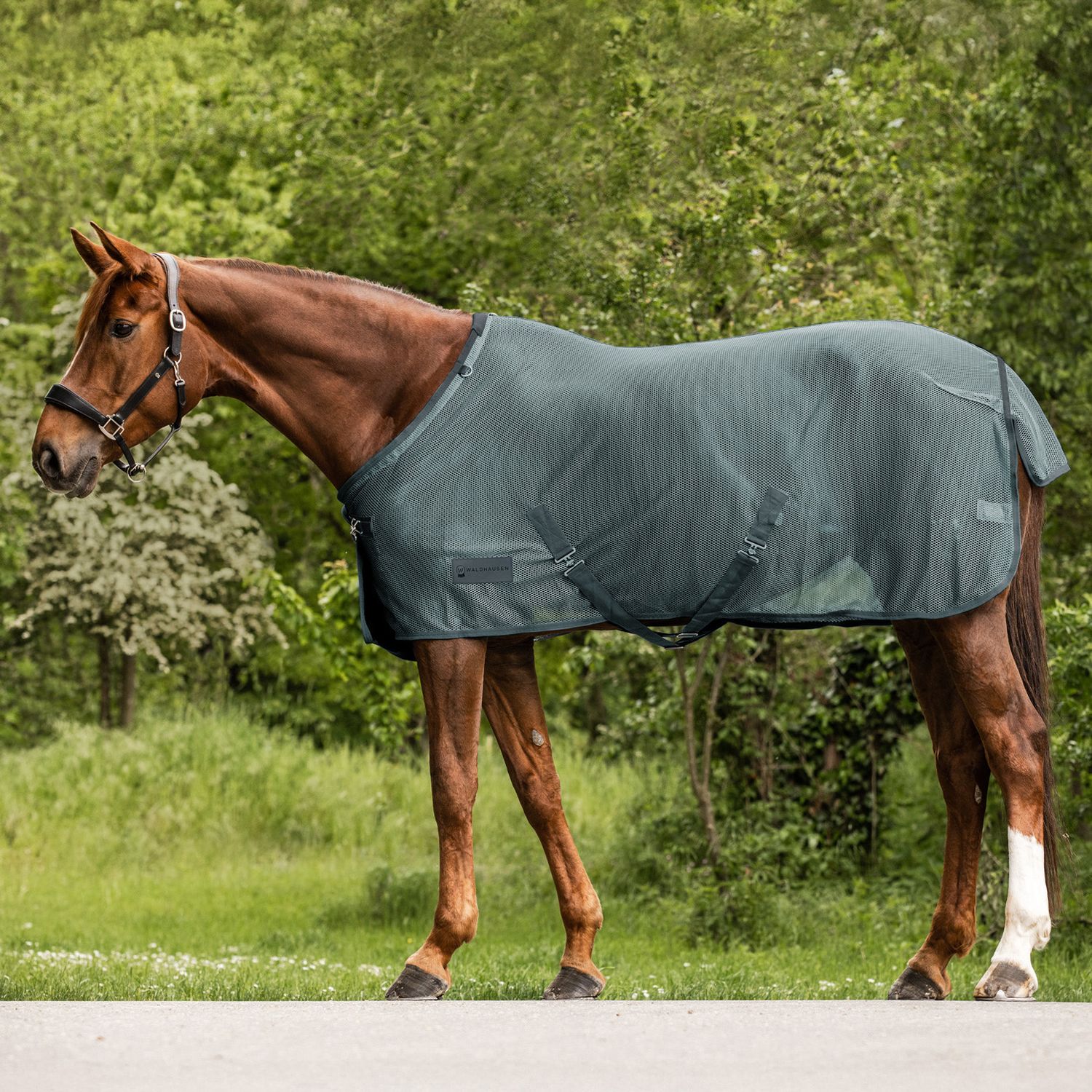 Waldhausen Fliegendecke Comfort Kreuzbegurtung - pinegrün, Größe 125 cm