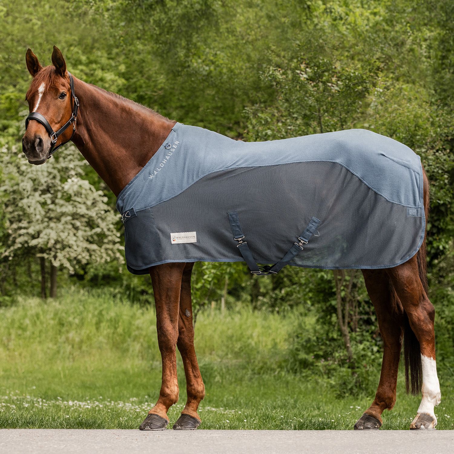 Waldhausen Fleece/Fliegendecke Comfort - pinegrün, Größe 125 cm