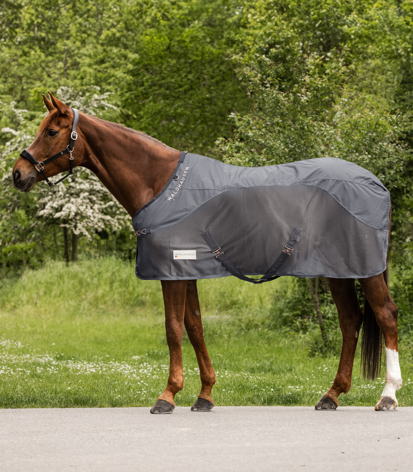 Waldhausen Regen-Fliegendecke Comfort - grau, Größe 115 cm