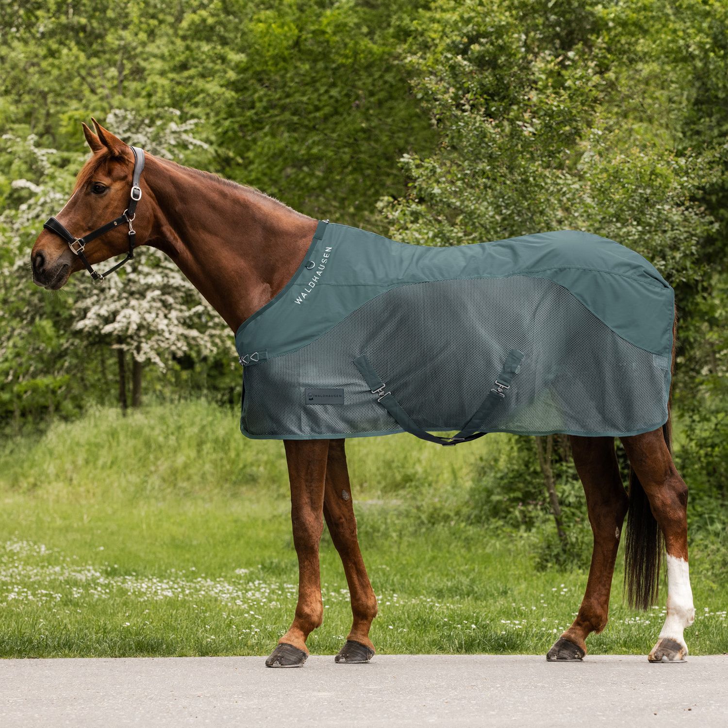 Waldhausen Gris Regenschutz Für Pferde Mit Fliegenabwehr Comfort - Image 3