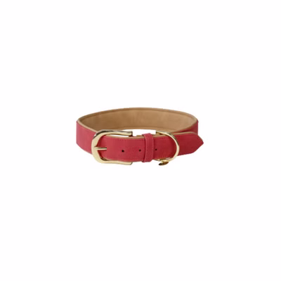 Kentucky Hunde Halsband vegan Leder