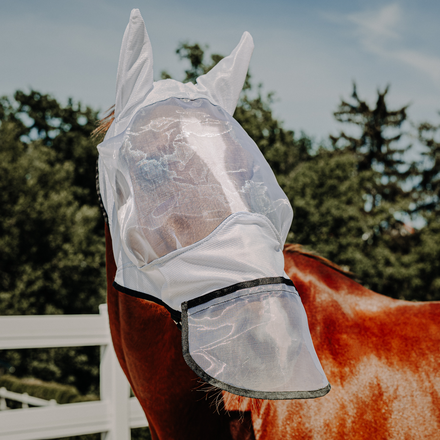 Sunride Fliegenmaske Miami Sunride Fliegenmaske Miami