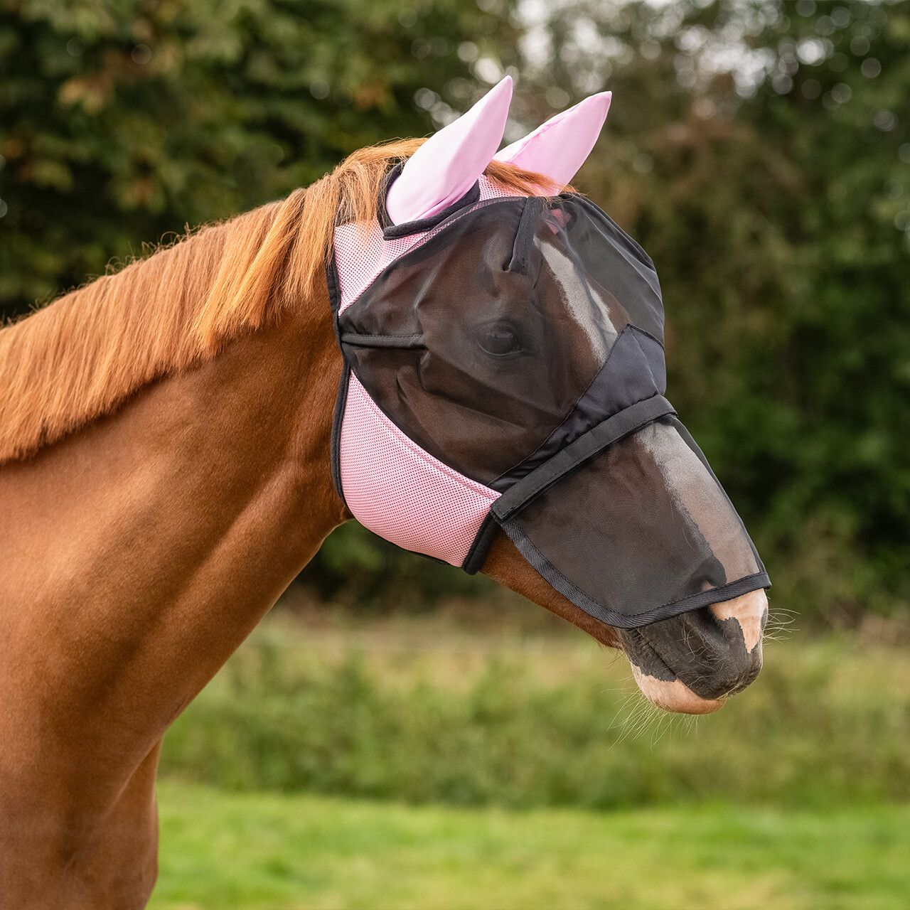 QHP Fliegenschutzmaske mit abnehmbare Nase Klappe - rosa, Größe Shetty