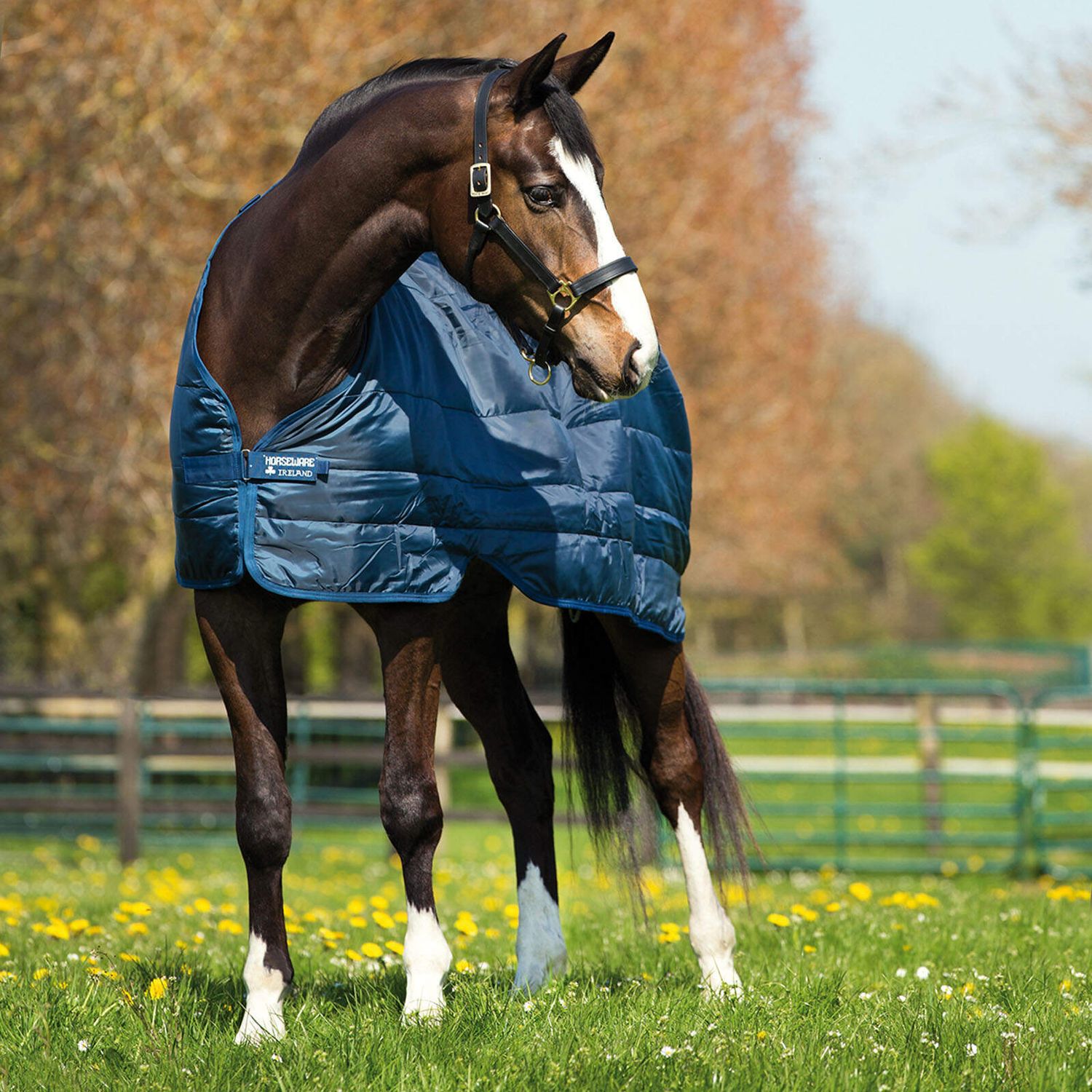 Horseware Liner Unterdecke 100g Navy - Blau, Größe 145