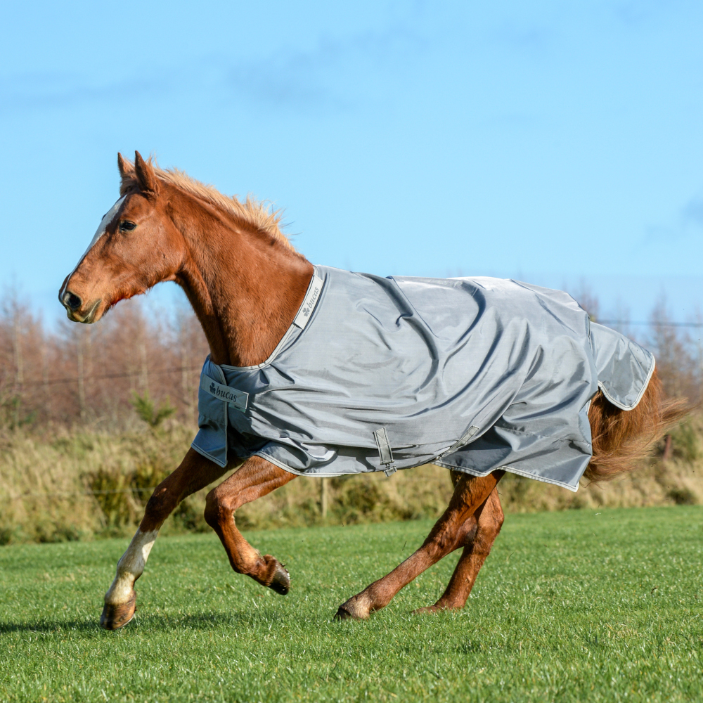 Bucas Smartex Turnout Medium Classic 150g Weidedecke Iron Gate