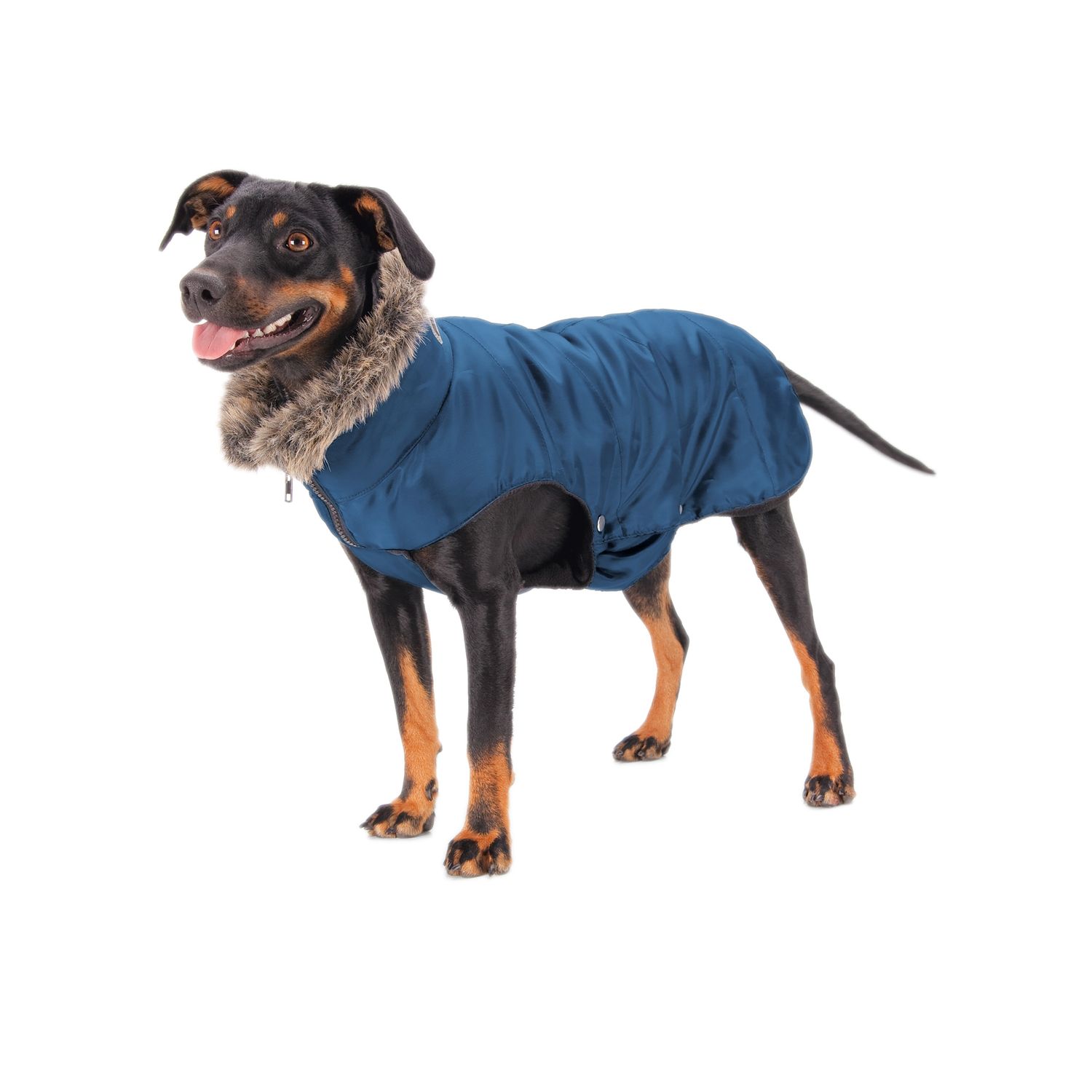 Eskadron Basic Quilted Hundemantel