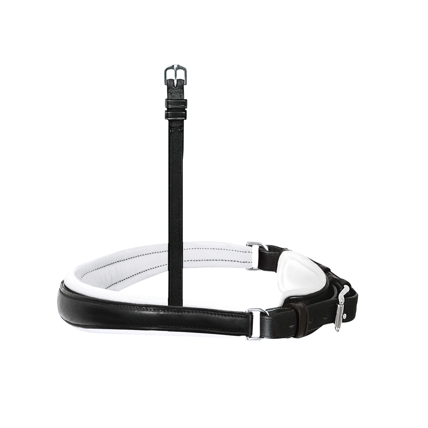 Passier Anatomischer Wechselnasenriemen Reithalfter Spezial