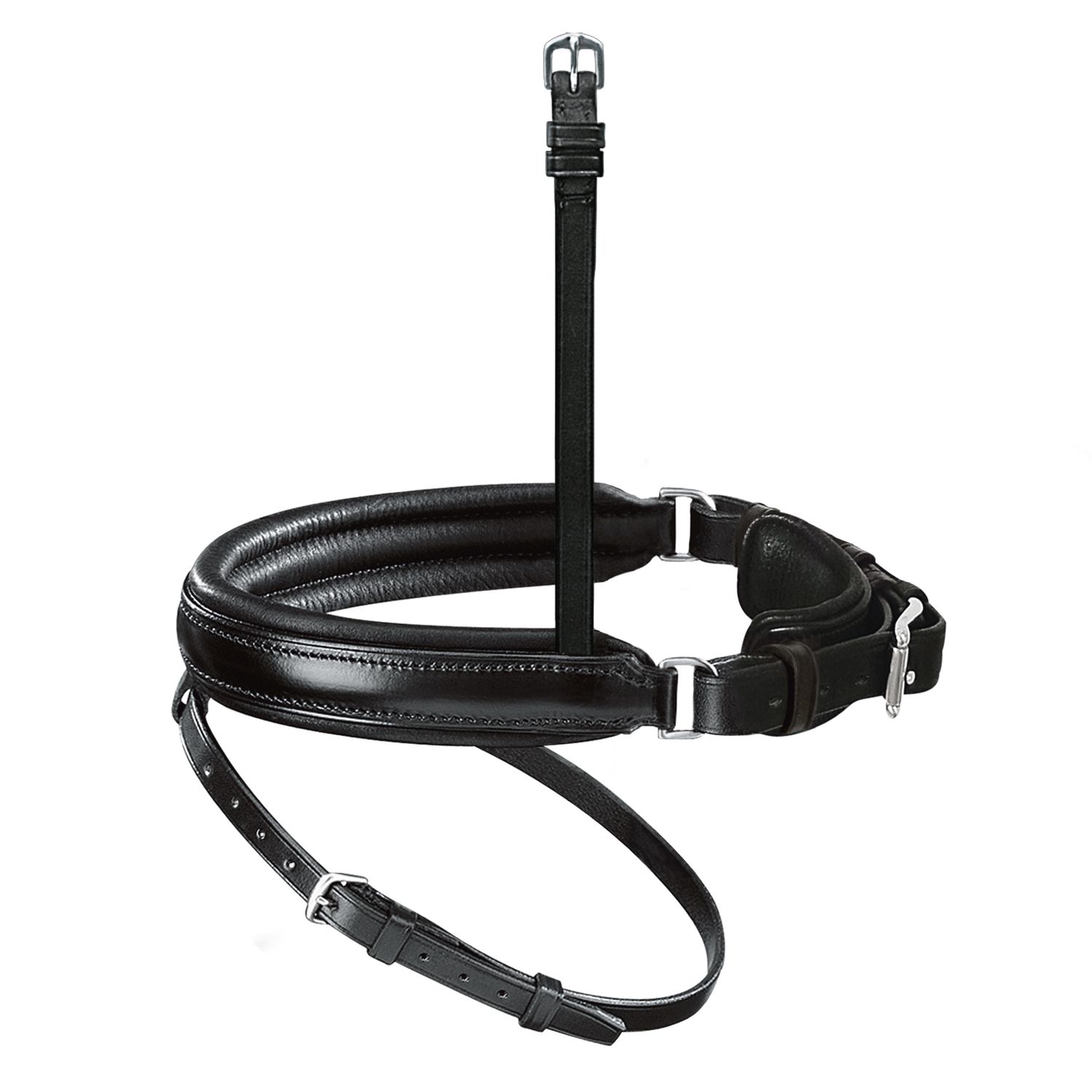 Passier Wechselnasenriemen Reithalfter Spezial mit Sperrriemen