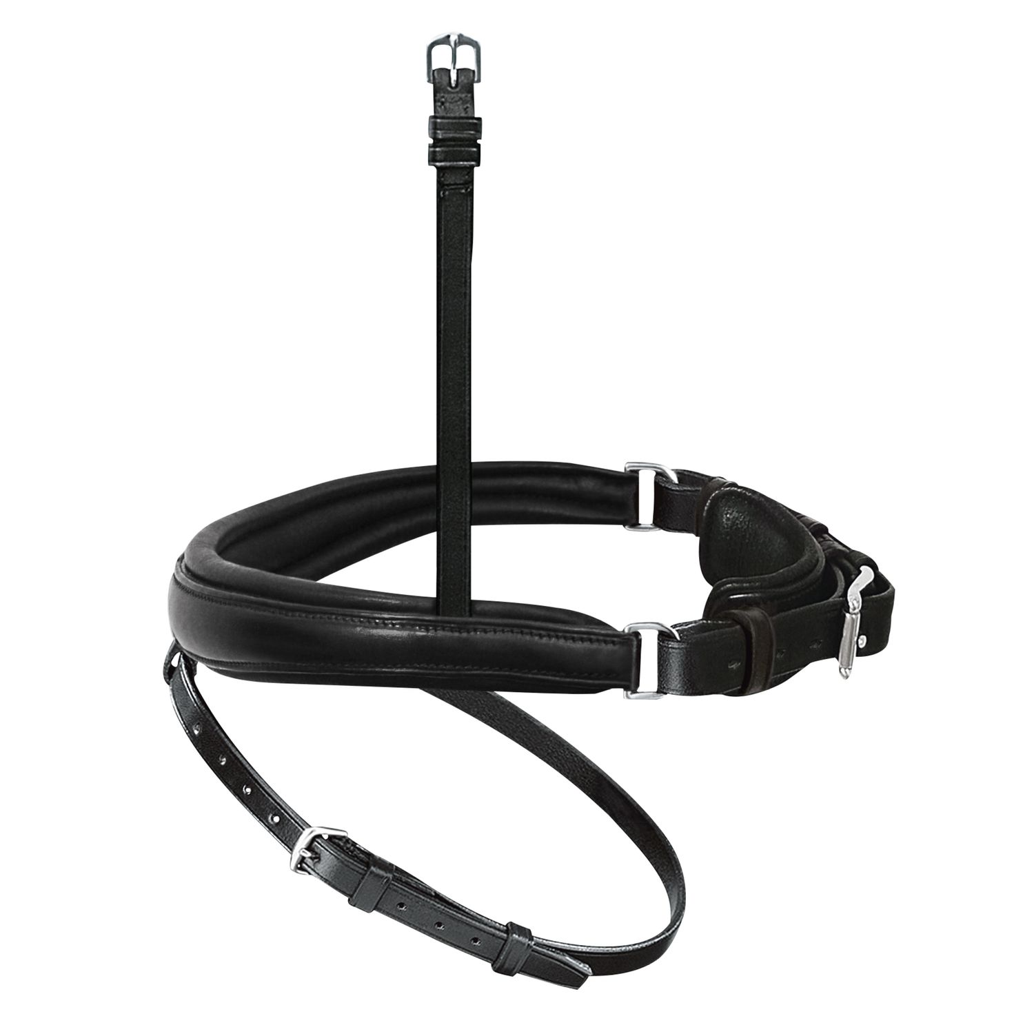 Passier Anatomischer Wechselnasenriemen Reithalfter Spezial mit Sperrriemen