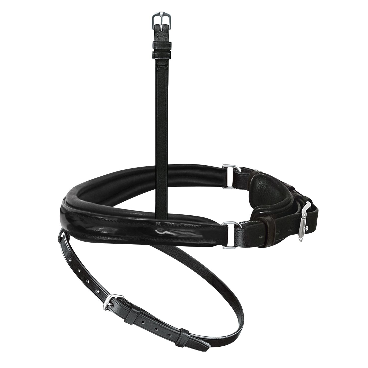 Passier Anatomischer Wechselnasenriemen Reithalfter Spezial mit Lackleder