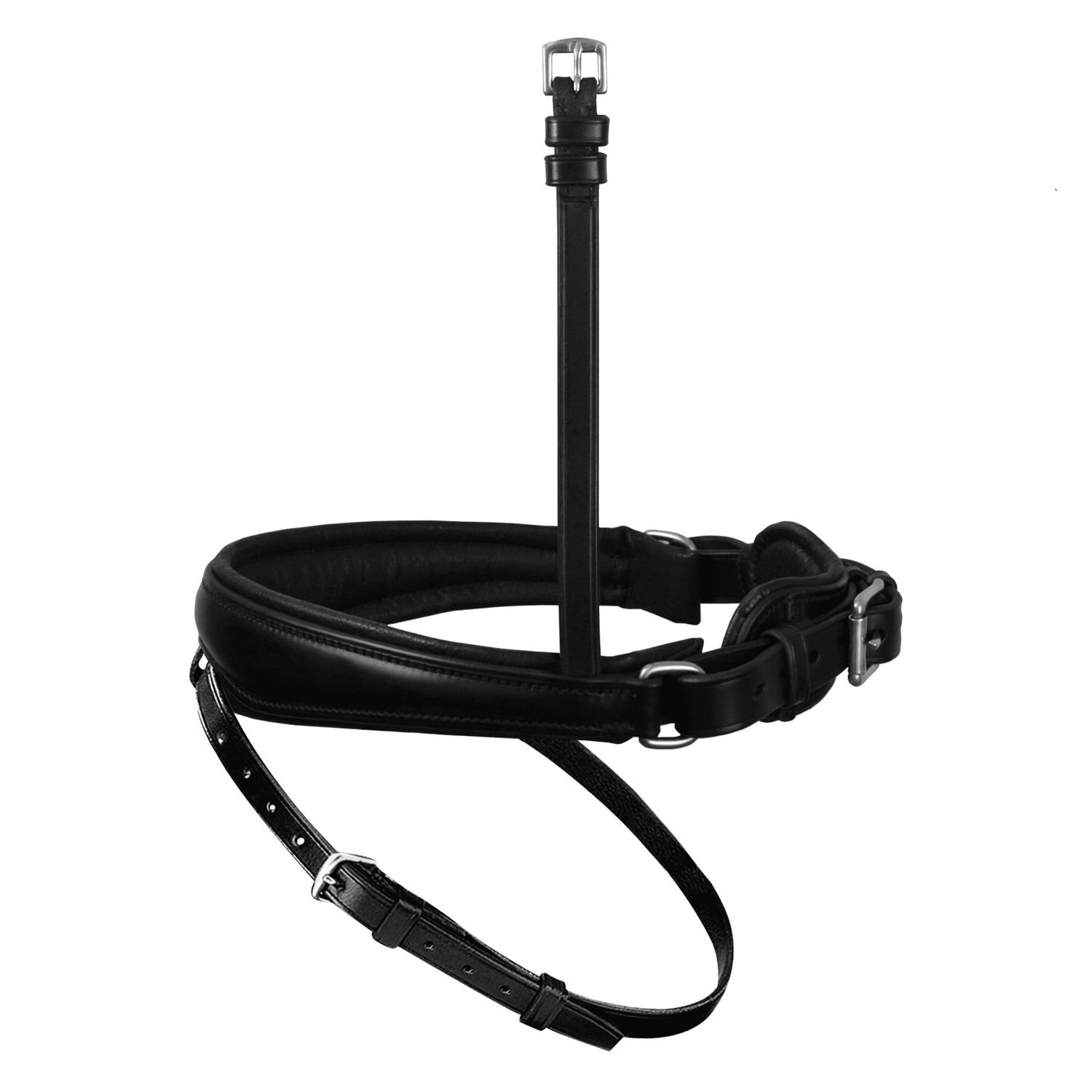Passier anatomischer WechselNasenriemen Reithalfter Spezial