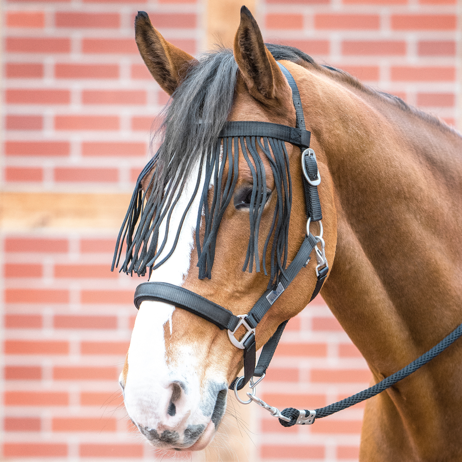 Busse Visby II Fliegenfransen - schwarz, Größe Warmblut
