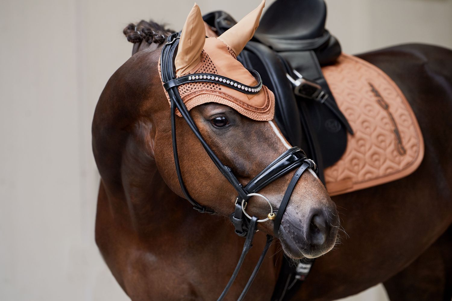 Eskadron Platinum HW23 Fliegenohren | Horse Shop