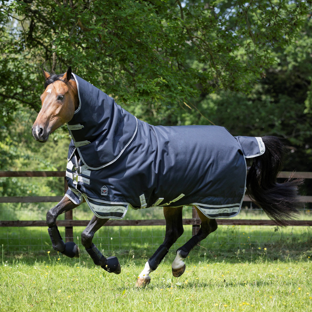 LeMieux Arika StormTek Turnout Rug 200g Horse Shop