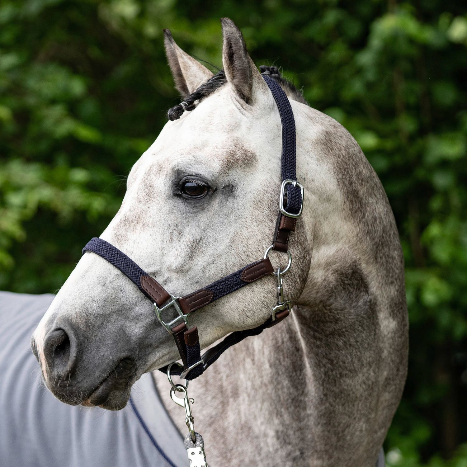 USG Halfter geflochten - marine/braun, Größe Pony